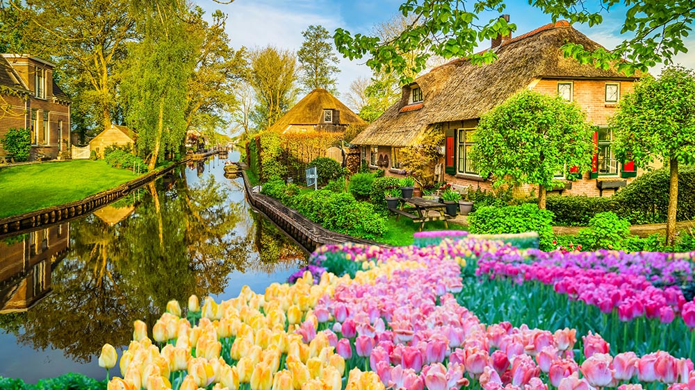 Niederlande per Bus erleben Niederlande per Bus erleben