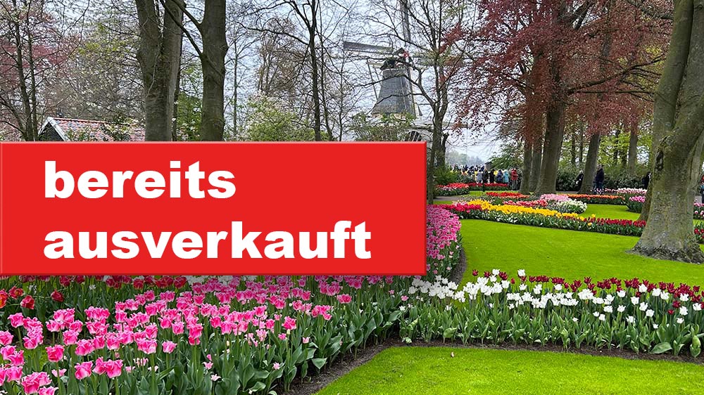 Tulpenblüte in Holland Tulpenblüte in Holland